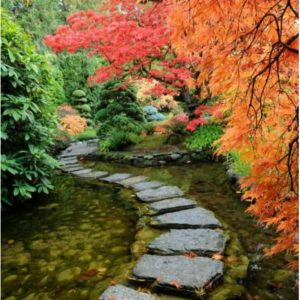 کاشی سه بعدی طرح طبیعت از خان شیک