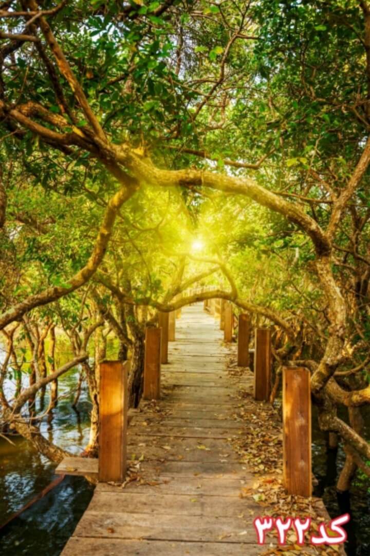 کاشی سه بعدی طرح طبیعت از خانه شیک