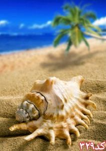 کاشی سه بعدی طرح طبیعت از خانه شیک