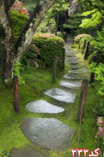 کاشی سه بعدی طرح طبیعت از خانه شیک