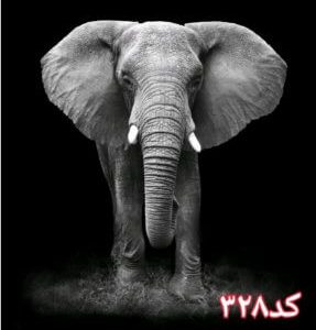 کاشی سه بعدی طرح فیل از خانه شیک