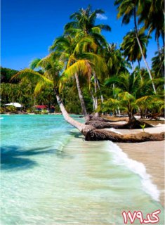 کاشی سه بعدی طرح طبیعت از خانه شیک