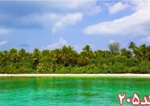 کاشی سه بعدی طرح طبیعت از خانه شیک