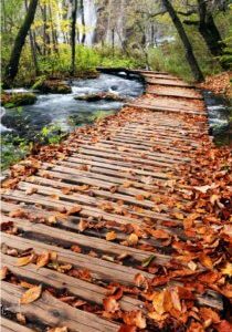 کاشی سه بعدی طرح پاییزی از خانه شیک