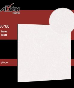 سرامیک مومنتو 60*60 آرین سرام