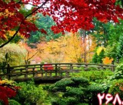 کاشی سه بعدی طرح طبیعت از خانه شیک