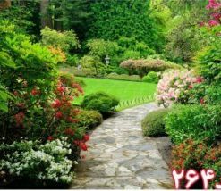 کاشی سه بعدی طرح طبیعت از خانه شیک