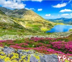 کاشی سه بعدی طرح طبیعت از خانه شیک