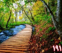 کاشی سه بعدی طرح طبیعت از خانه شیک