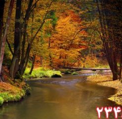 کاشی سه بعدی طرح طبیعت از خانه شیک