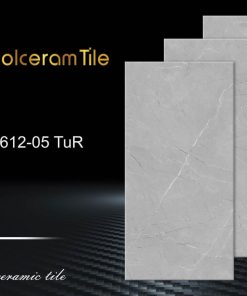 سرامیک بدنه سفید 120*60 مات 61205 طوسی روشن