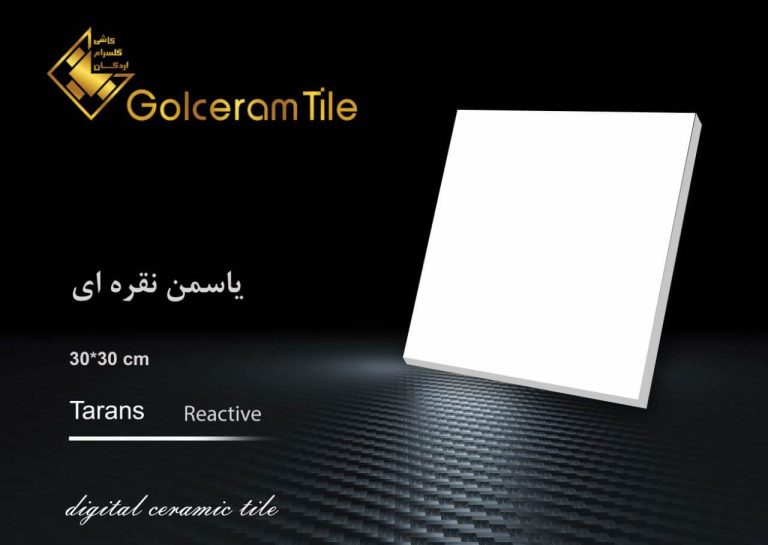 کاشی گلسرام یاسمن نقره ای 30*30